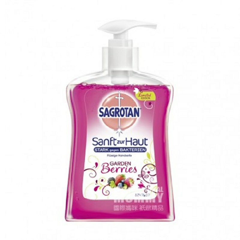 SAGROTAN 德國薩羅坦高效殺菌泡沫洗手液 海外本土原版