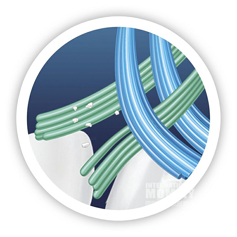 BRAUN 德國博朗oral-b歐樂B超軟毛手動牙刷*4 海外本土原版