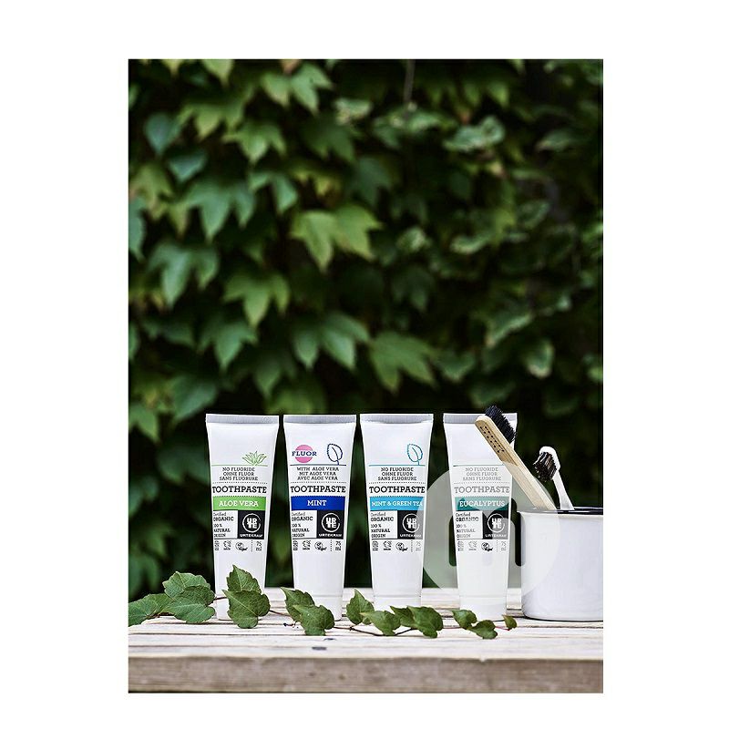 URTEKRAM 丹麥亞緹克蘭薄荷和綠茶有機無氟牙膏*2 海外本土原版
