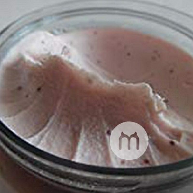 Dove 德國多芬石榴和乳木果油身體磨砂膏4件裝 海外本土原版