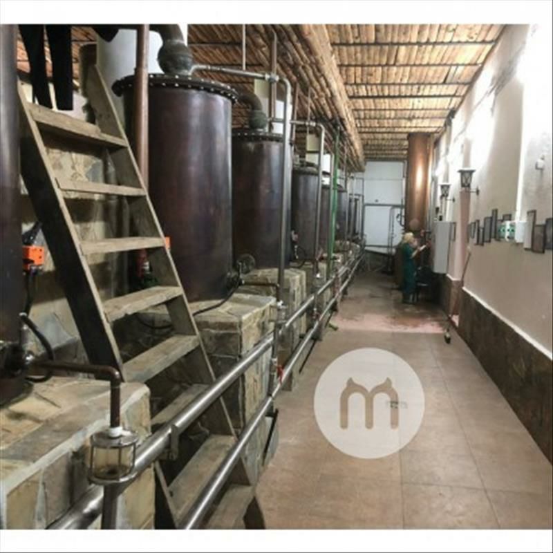 StarRider Elements 德國StarRider Elements有機玫瑰水500ml 海外本土原版